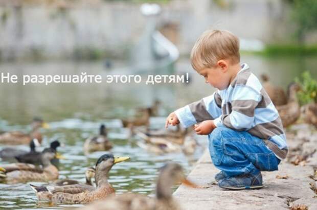 clip_image001