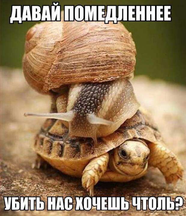Очередная подборка автоприколов автоприколы, приколы