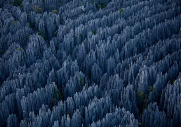 Каменный лес на Мадагаскаре. Фото