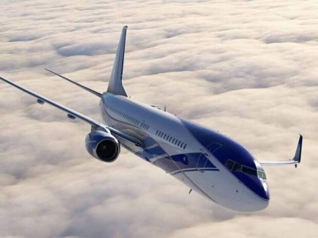 Самолет Элтона Джона едва не столкнулся с хищной птицей при взлете