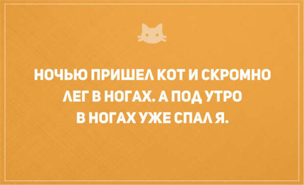 открытки о том, что без кота и жизнь не та (10)