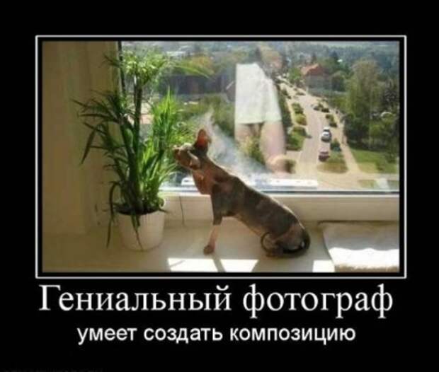 Демотиваторы, ну смешно ведь!)