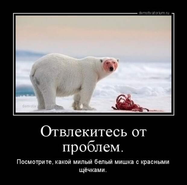 Свежие демотиваторы (13 фото)