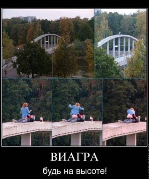 Демотиваторы и все самое прикольное на фото.