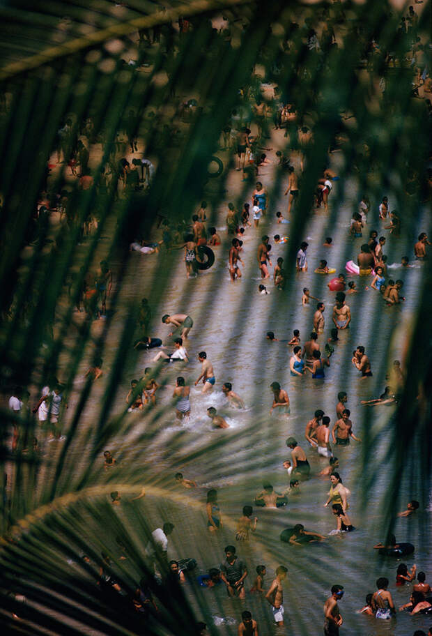 65. Десятки туристов плещутся в воде. Акапулько, Мексика, 1964 national geographic, история, природа, фотография