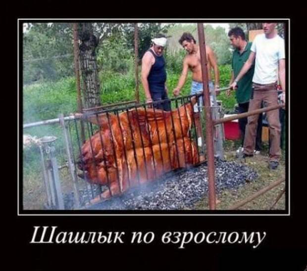 Шашлык по-взрослому демотиваторы, картинки, юмор