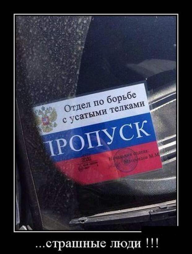 То ли смех, то ли слёзы - 211 (Смех в картинках... 22.12.2017)