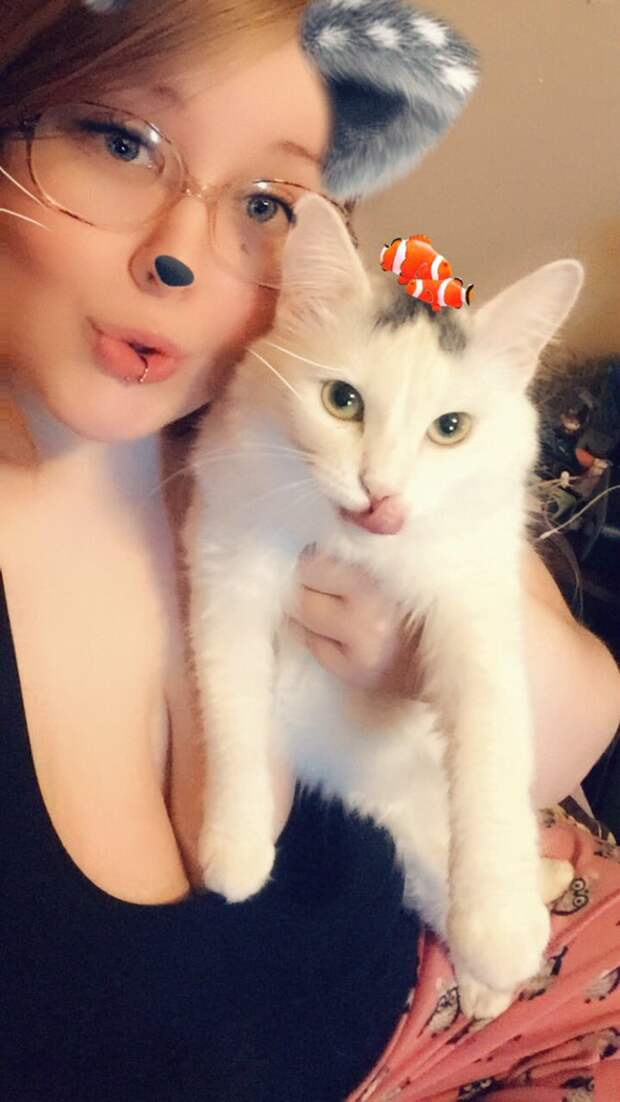 Кошачьи фильтры Snapchat