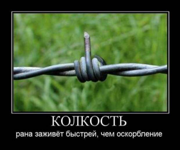 Демотиваторы по русски со смыслом.