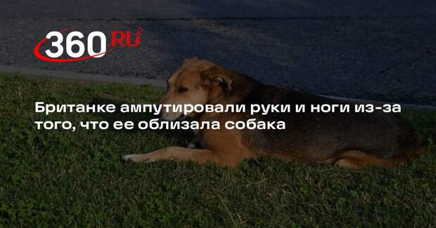 Британке ампутировали руки и ноги из-за того, что ее облизала собака