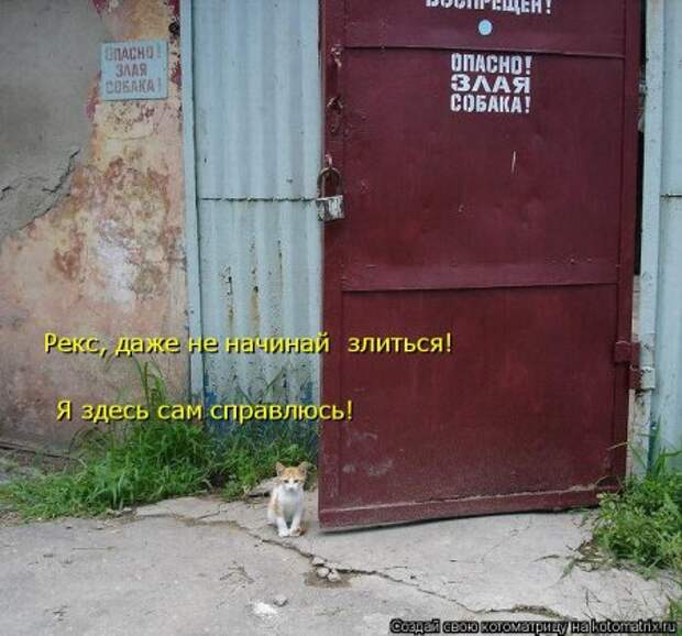 Забавные котоматрицы