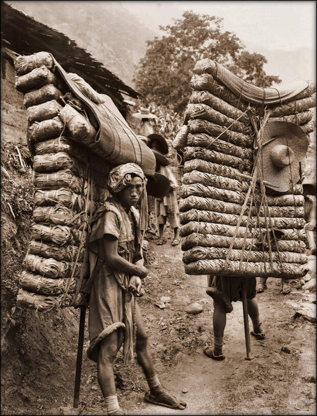 Носильщики тюков с чаем из племени Ладен.Провинция Сычуань. 1908 год. Вес одного тюка 300 фунтов, т.е. около 12 кг. исторические фото, история, китай