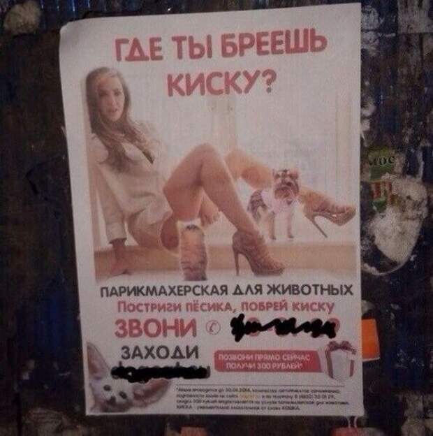 смешные надписи, объявления, маразмы