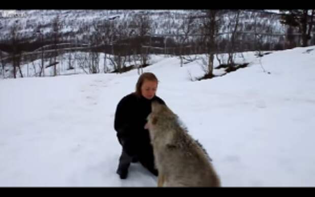 This Lady is One With the Wolves
