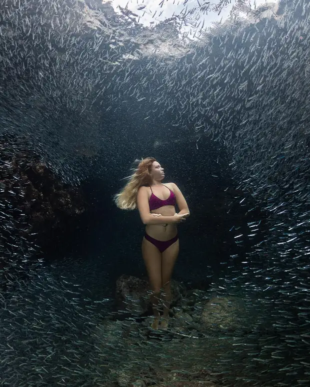 Андре Масгроув (André Musgrove) и его невероятные подводные снимки