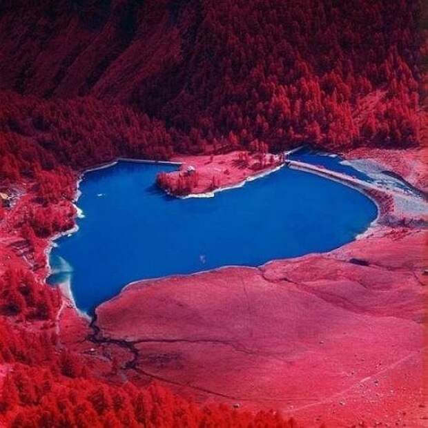 Картинки и фото с приколами (45 шт)