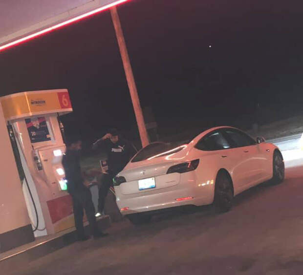 Подборка прикольных картинок