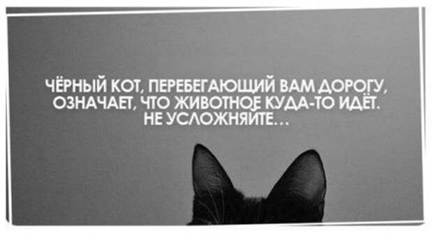 Смешинки в картинках