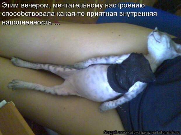 Мысли вслух :)