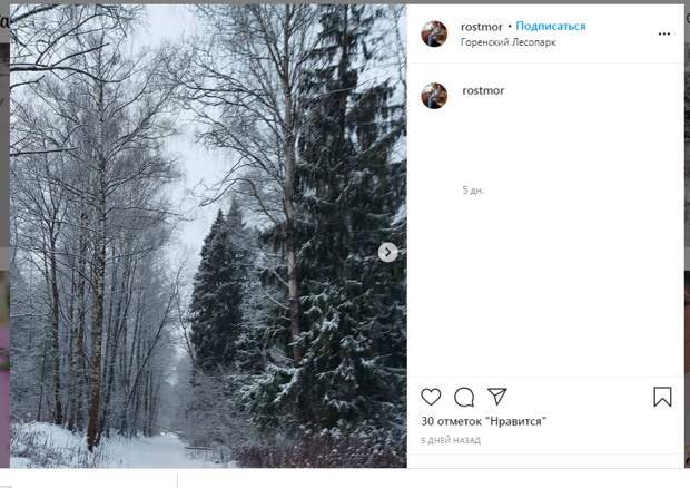 Фото дня: заснеженный Горенский лесопарк