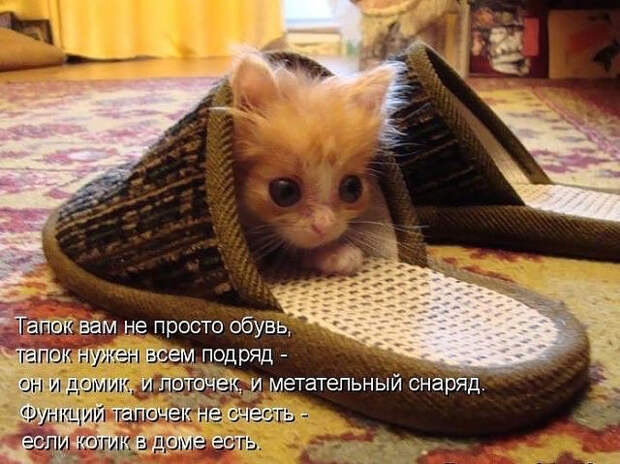 image (640x479, 297Kb)