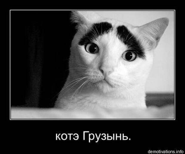 Демотиваторы приколы и позитив во всем будет смешно!