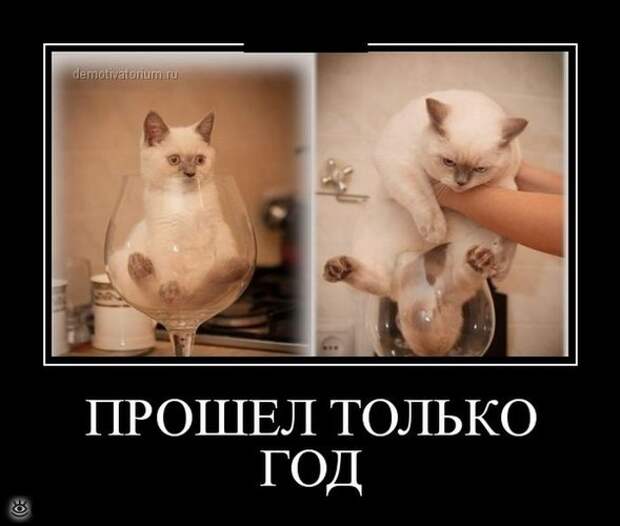Утренняя зарядка демотиваторами 25