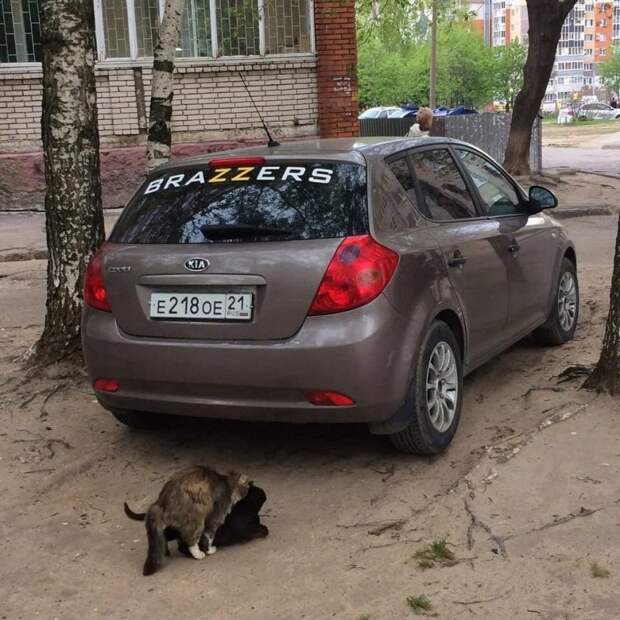 Подборка автомобильных приколов авто, автомобили, автоприкол, автоприколы, подборка, прикол, приколы, юмор