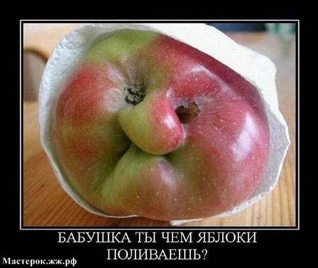 Посмотри в лицо ЕДЕ !