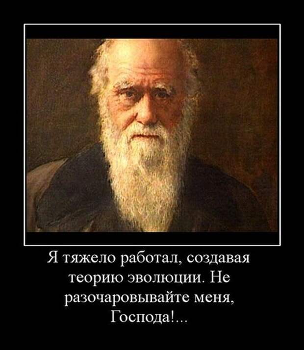 Демотиваторы №1102 (30 фото)