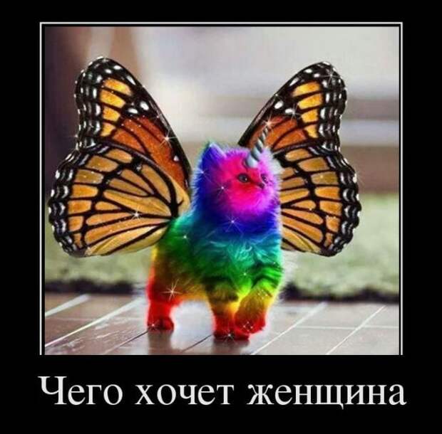 Демотиваторы. Отличная подборка!