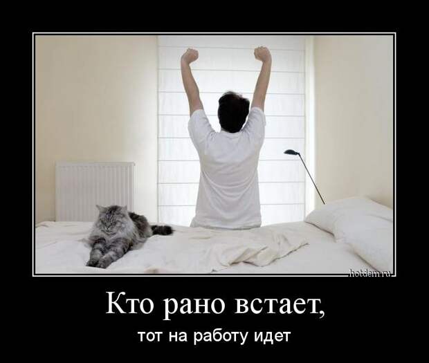 Демотиваторы  демотиваторы, прикол, смех, юмор