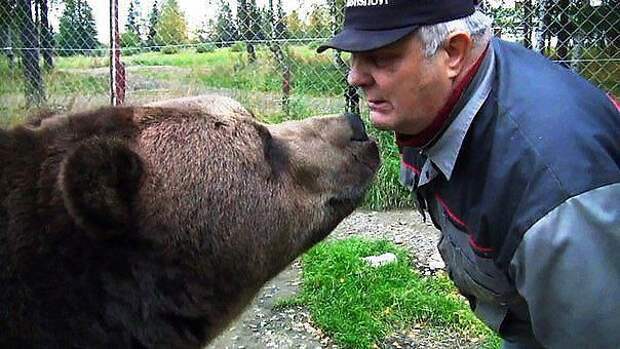 Ну, цалуй!!!!! Ну, цалуй!!!!! медведи, россия