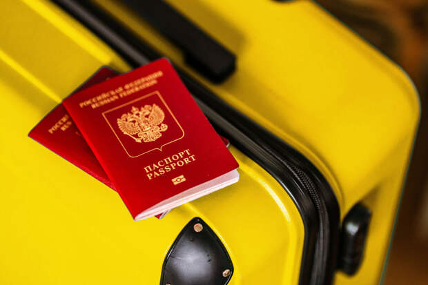 Щербаченко: мошенники обещают быстро сделать загранпаспортом и похищают данные