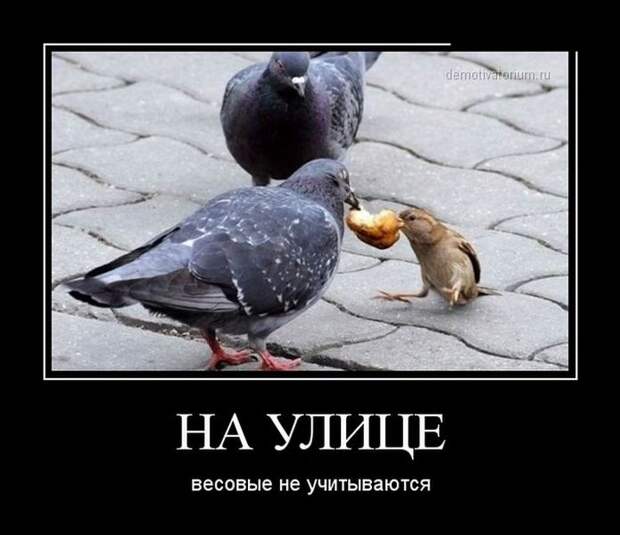 Демотиваторы 09.10.2014 Демотиваторы 09.10.2014