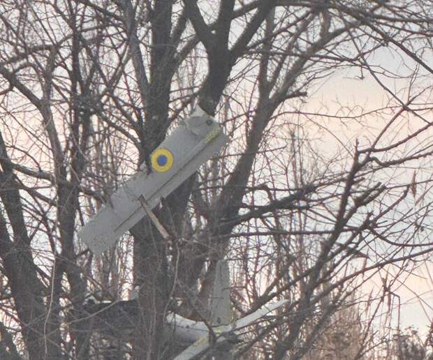 В Кировске в ЛНР на дереве обнаружили  дрон ВСУ с боевой частью