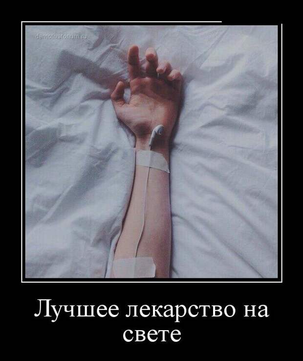 Демотиваторы №1061 (30 фото)