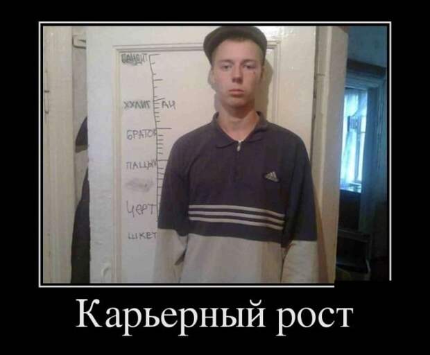 Новые весёлые демотиваторы Новые весёлые демотиваторы