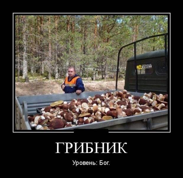 Скучаешь по Демотиваторам? Заходи сюда!