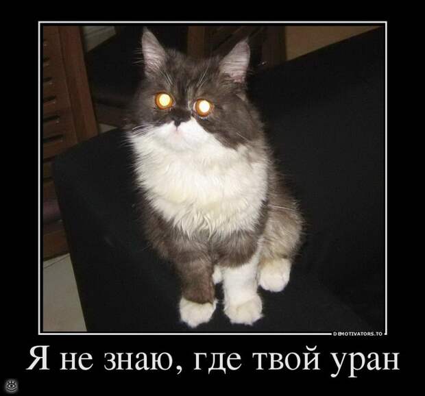 Демки заказывали? 15