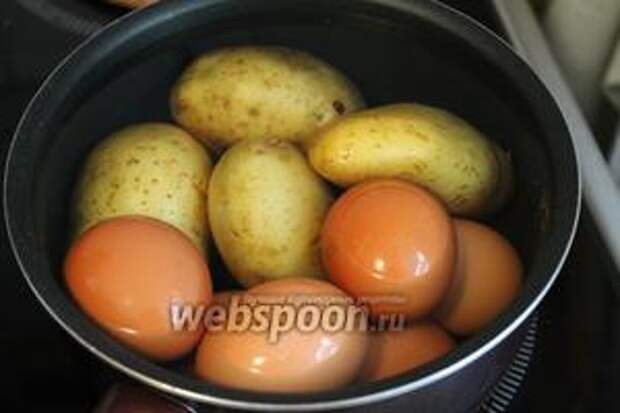 Отварить картофель и яйца.