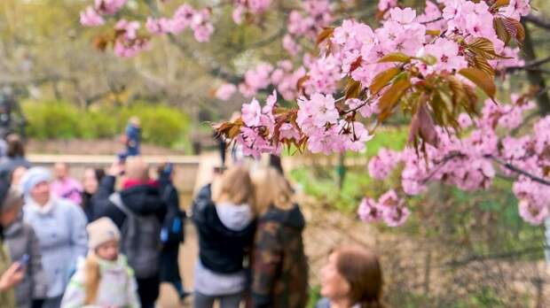 Конкурс чтецов, мастер-классы и спортивные забеги пройдут в столичных парках в выходные
