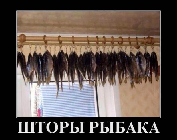 Демотиваторы (30 фото)