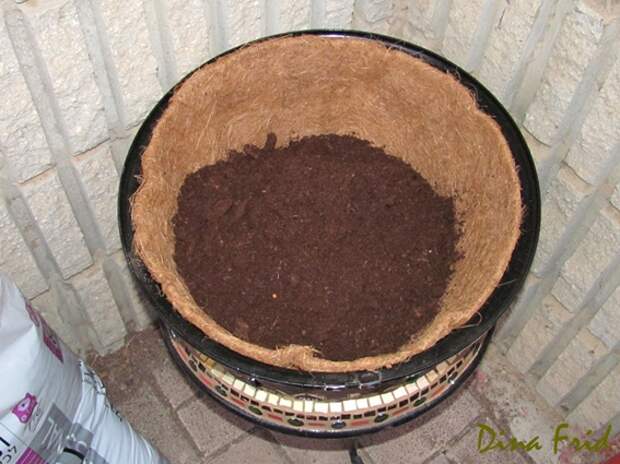 Цветочный горшок из обода колеса (Diy)