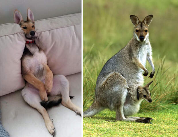 similar-things-2-22__605