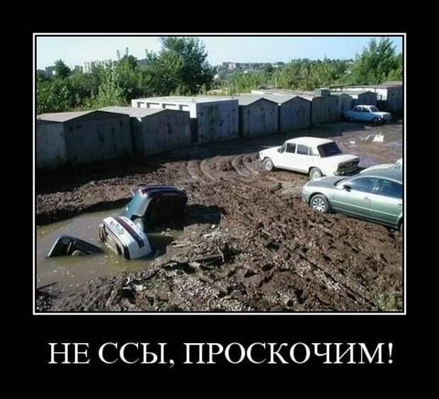 Демотиваторы (133 картинки)