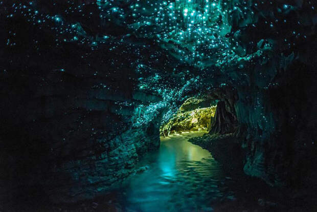 waitomo-glowworm-caves-new-zealand-10