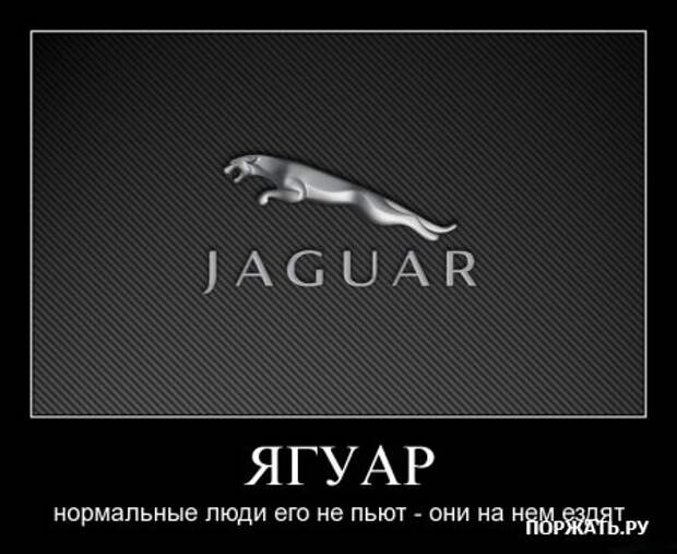 Для любителей демотиваторов