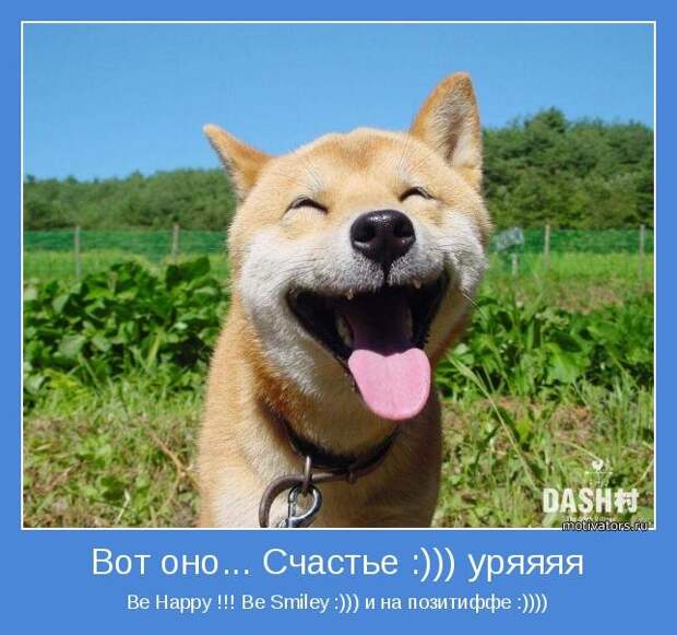 Сборник мотиваторов Сборник мотиваторов