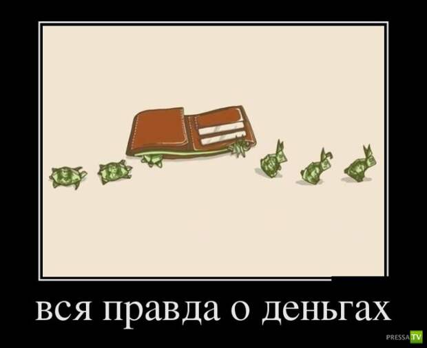 Демотиваторы на сентябрь 3, (30 фото)